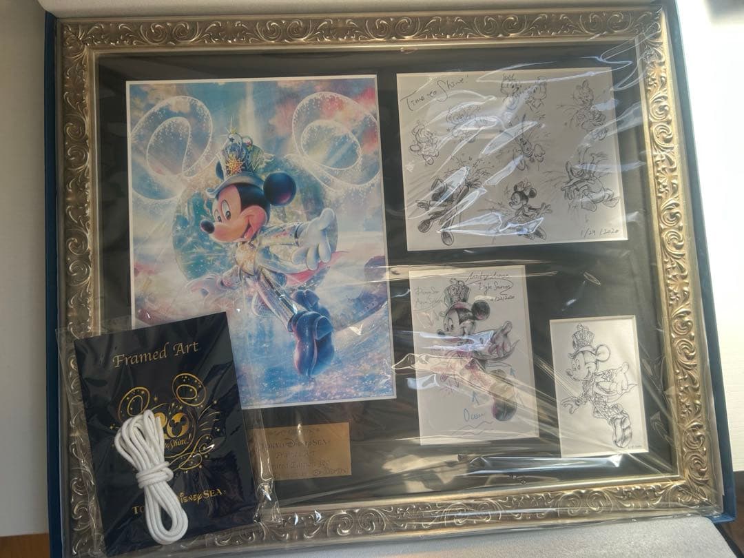 ファンダフルディズニー限定300個　ディズニーシー20周年　アートフレーム　絵画