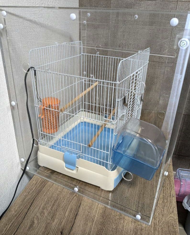 【キズあり】BIRDMORE アクリルケージケース 1点