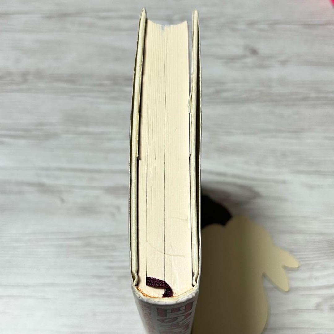 【メルカリ便】円の支配者 : 誰が日本経済を崩壊させたのか　リチャード　希少