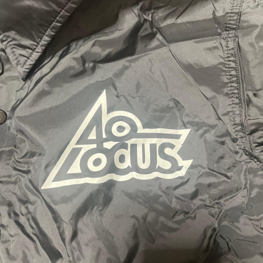 レア Locus40コーチジャケット CHEMISTRY川畑要さん