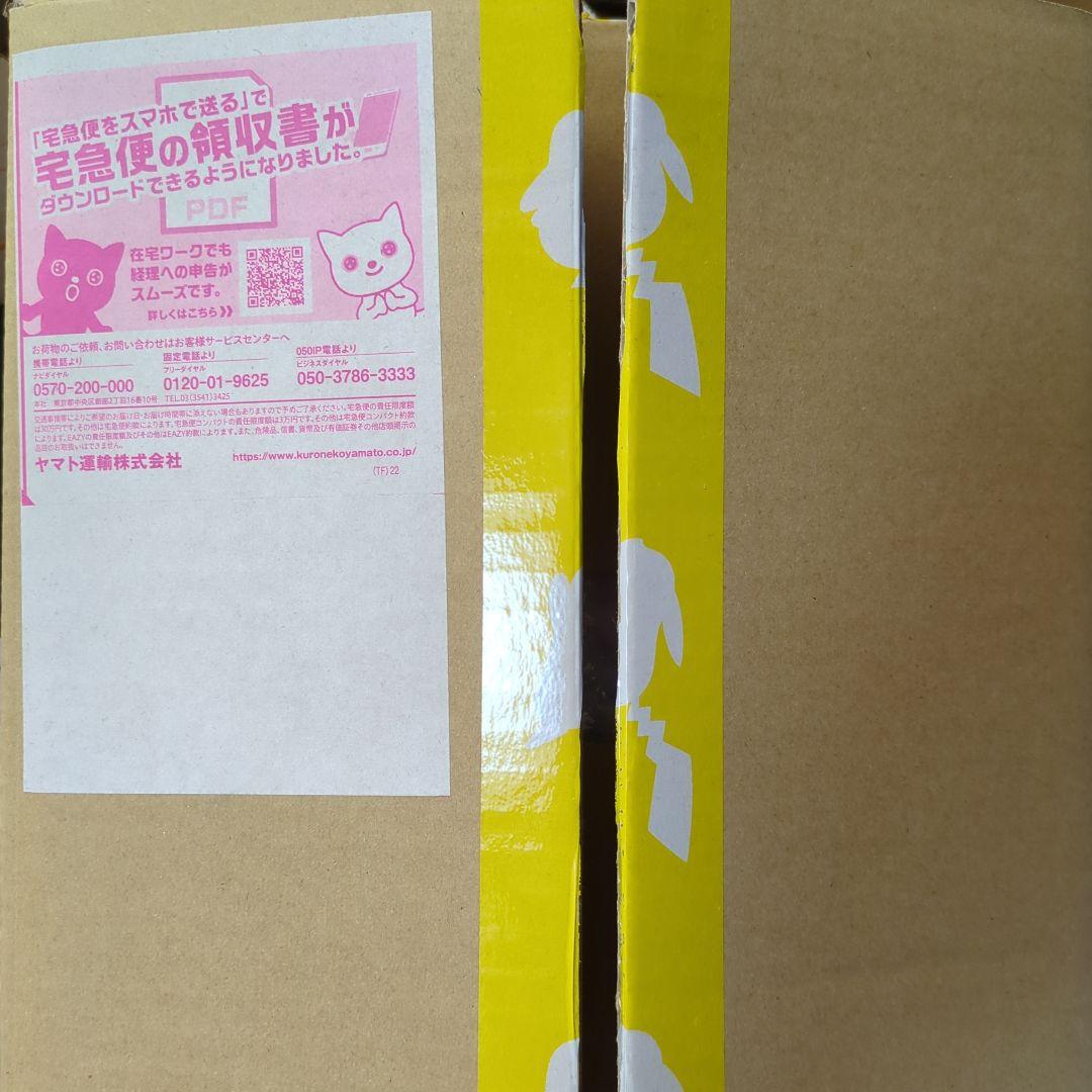 ポケモンセンター　フィギュア　ナンジャモ&ハラバリー　未開封新品 ナンジャモ