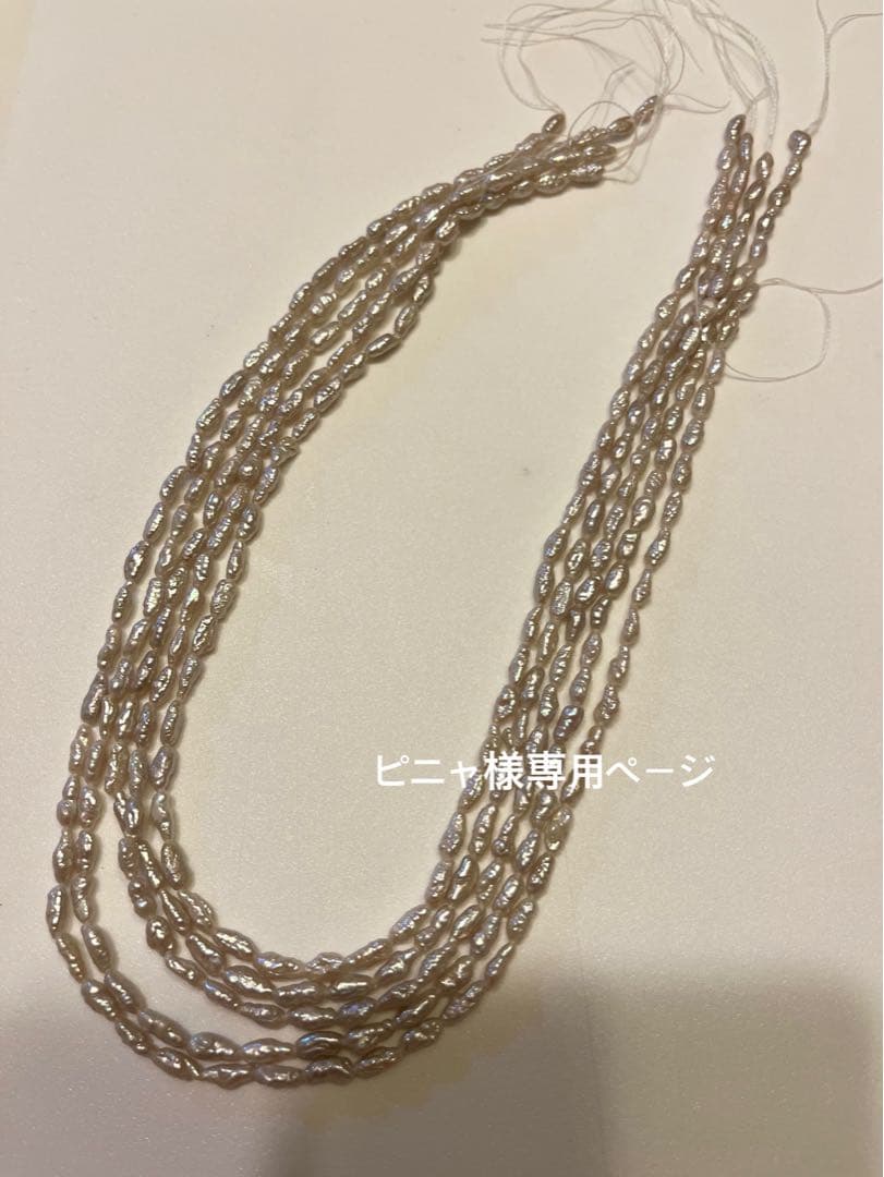 【ピニャページ】