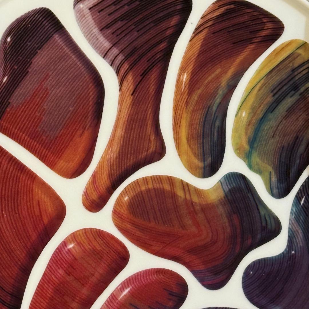 hi-dutch ZOZOVILLA 有田焼プレート