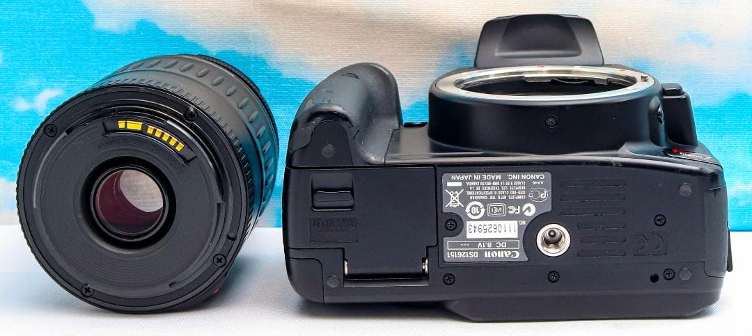 キャノン Canon kiss X⭐️スマホに転送⭐️一眼レフ⭐️大人気機種