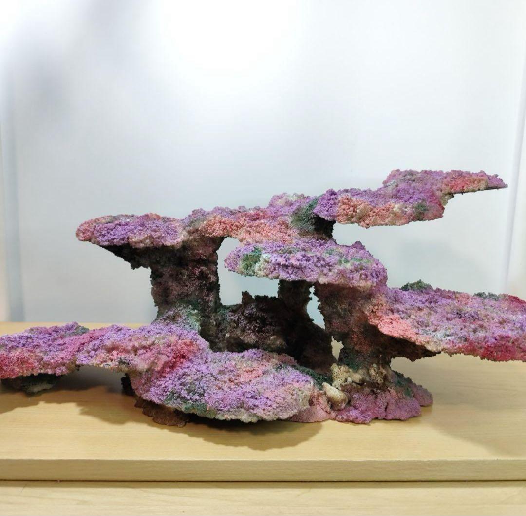 人工ライブロック 60cm海水水槽用 レプリカ 多孔質