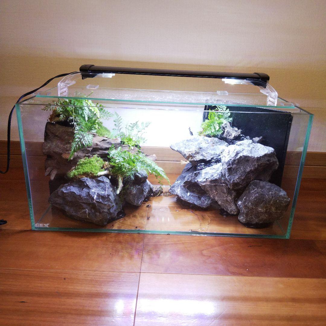 【受注生産】滝のあるアクアテラリウム　イモリウム　苔テラリウム　アクアテラリウム