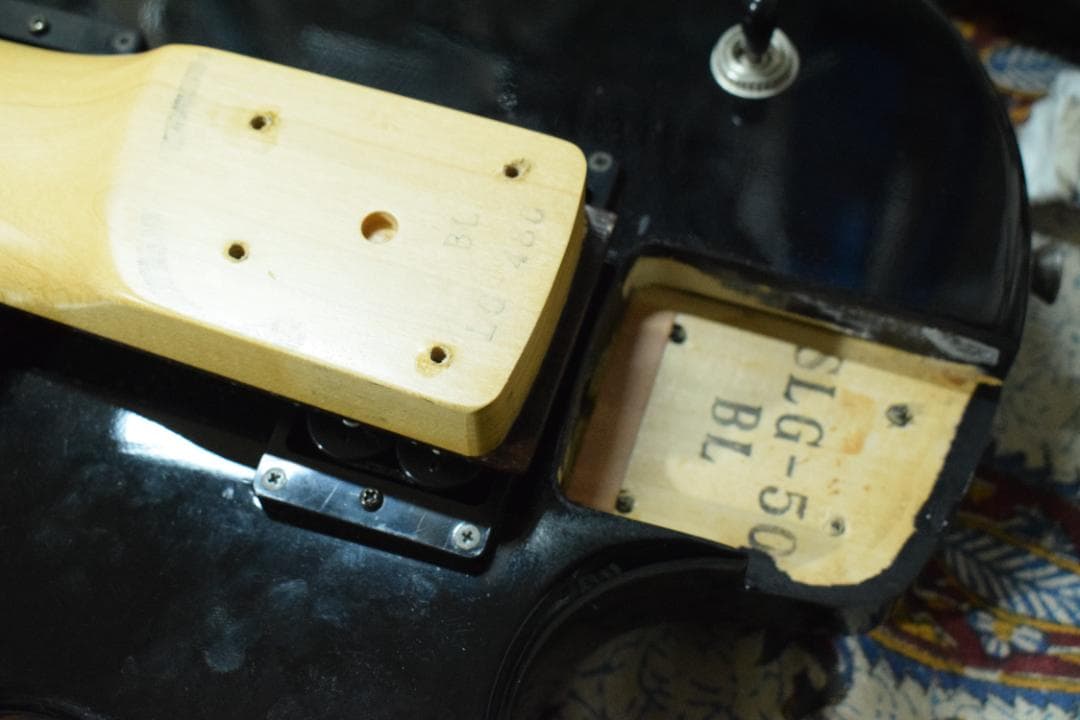 Burny Fernandes LG-480 SLG-50 ソフトケース付