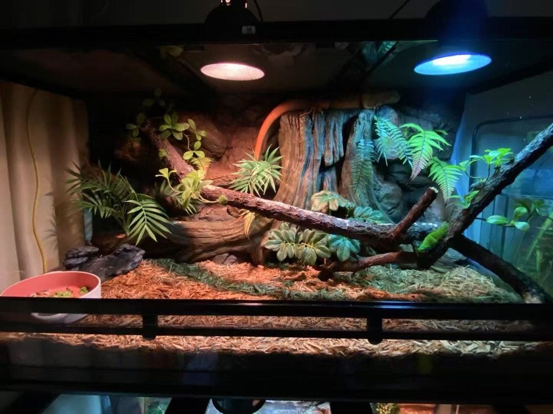 自社製組み立て式爬虫類両生類ケージガラス飼育ケージ120x60x120cm引取り