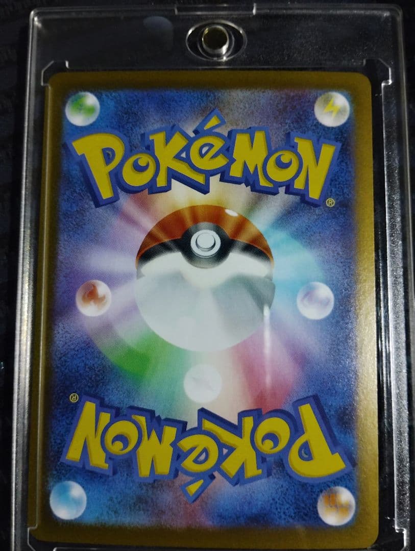 本日自引き品！　メガリザードンexs SAR超美品‼️