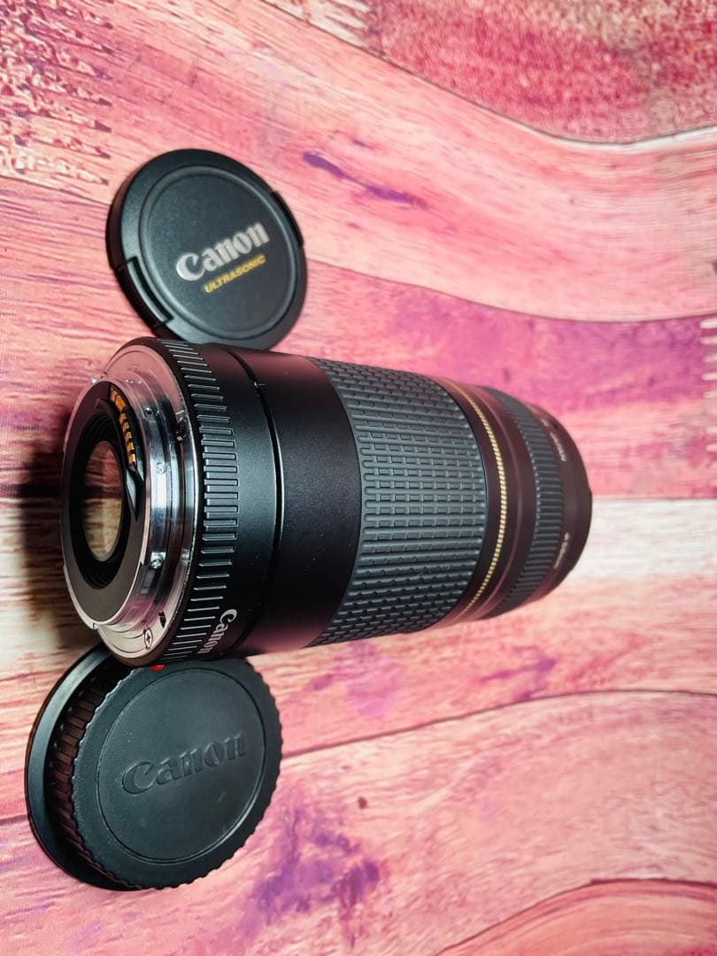 CANON キャノン EF 75-300mm 1:4-5.6 Ⅱ