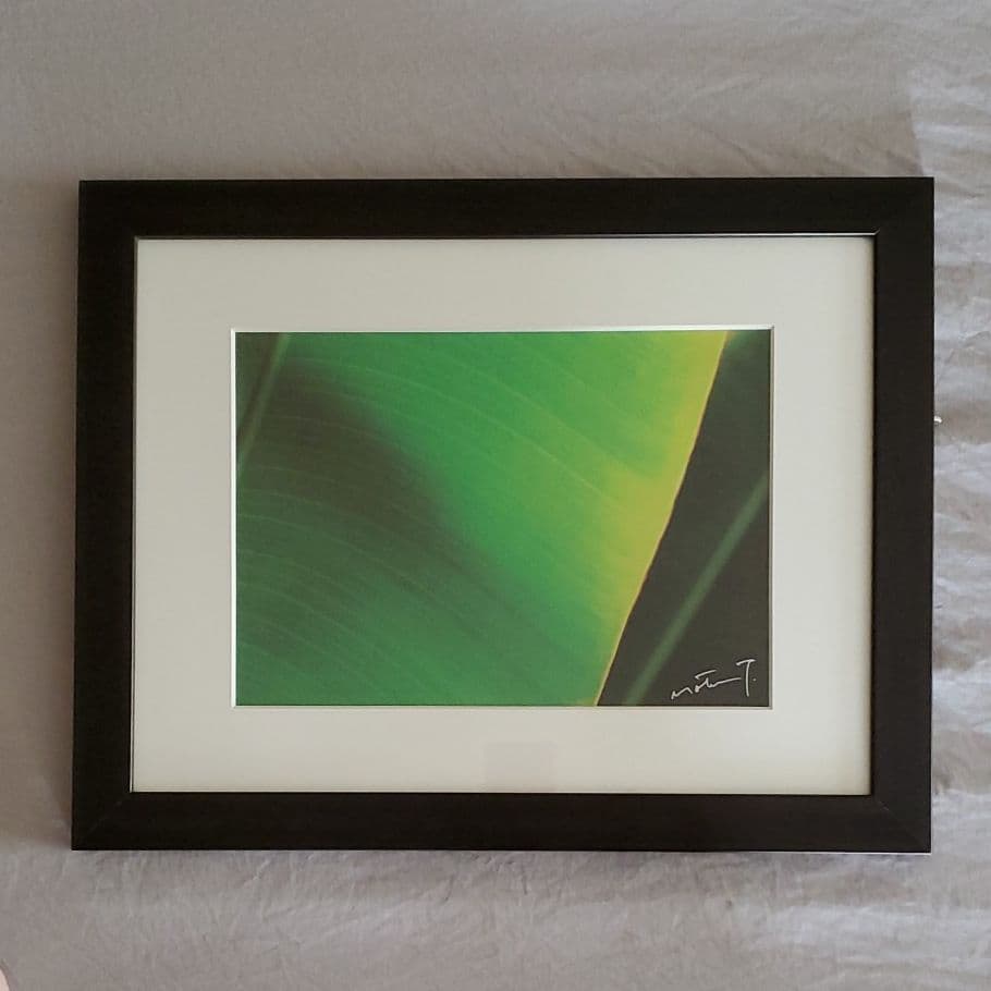 写真家 高山求 アート&フレーム