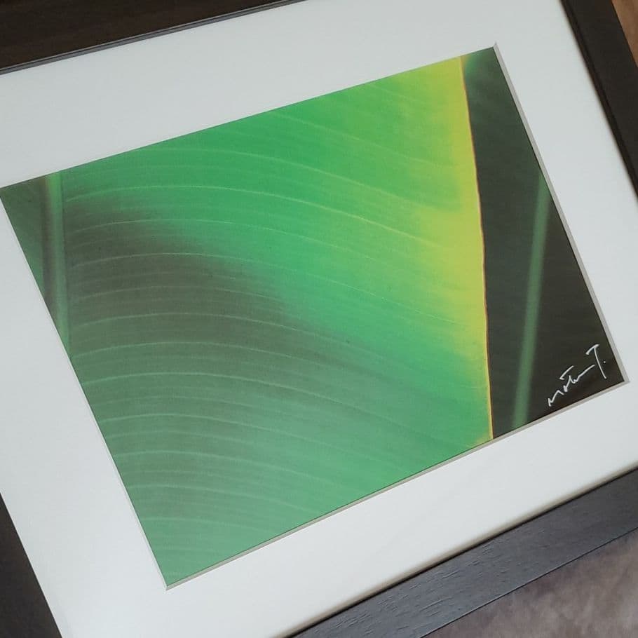 写真家 高山求 アート&フレーム