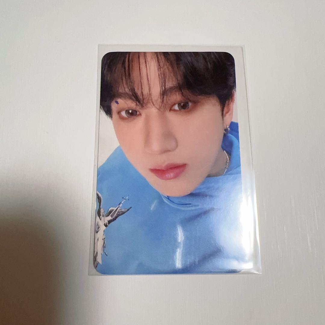 スキズ　テディベア ぬいぐるみ teddybear チャンビン　トゥエッキ　60