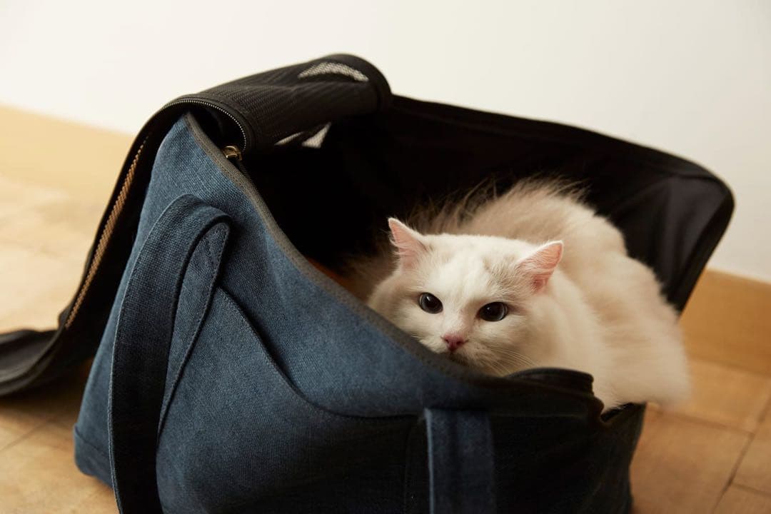 マザーハウス×RINNコラボ 猫用キャリーバッグ