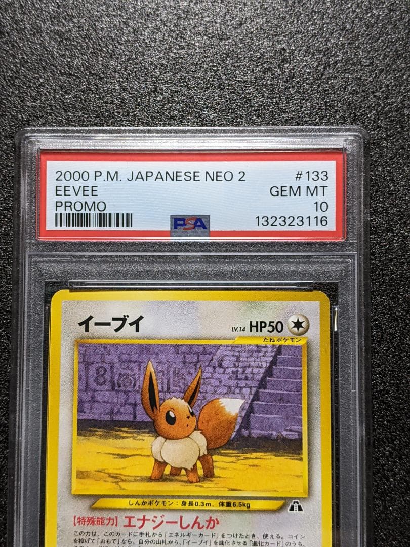PSA10 イーブイ ポケモンカード PEV 旧裏面 プレミアムファイル２