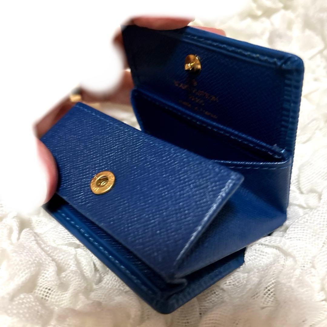 【美品】Louis Vuitton エピレザー　ケース　ネイビー