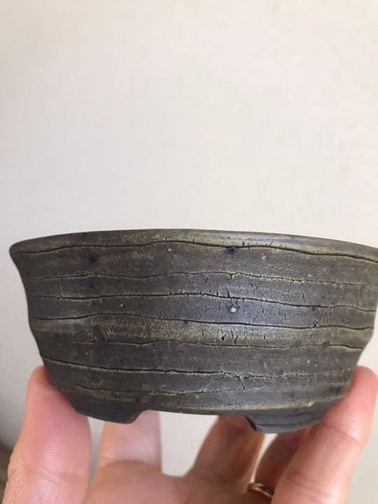 盆栽鉢　時代ミニ盆栽鉢小品常滑名工盆栽鉢服部3点山野草サボテン多肉植物