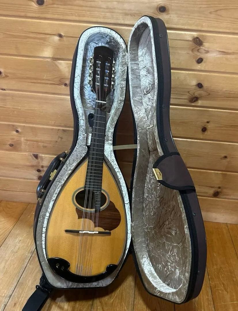 【美品】SUZUKI マンドリン　M-30 ハードケース　スズキ