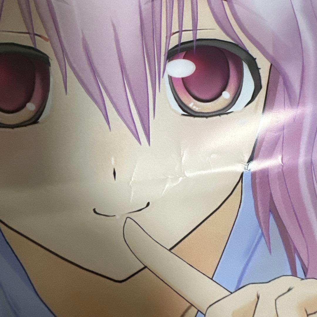 すーぱーそに子　ポスター＆タペストリーセット ソニコミ　ソニプロ