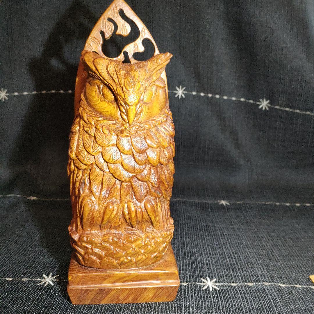 屋久杉　ふくろう