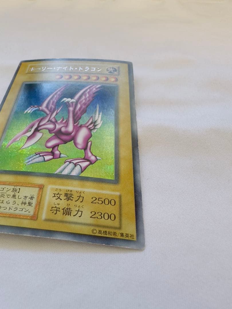 ホーリーナイトドラゴン　初期　シク