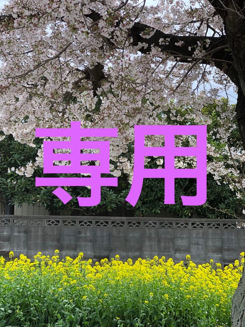 フィフィ＆ロメオ