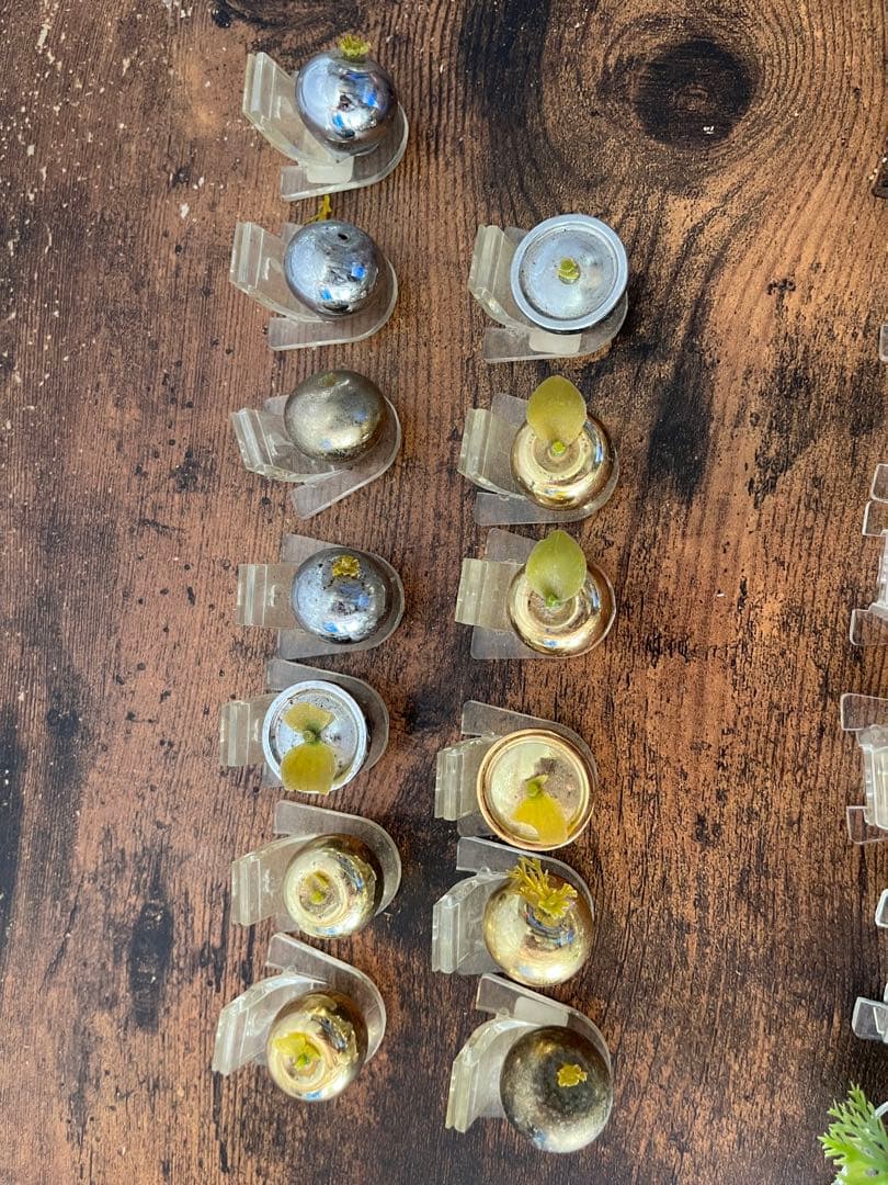 鉄製　りんご　野菜　名刺スタンド等