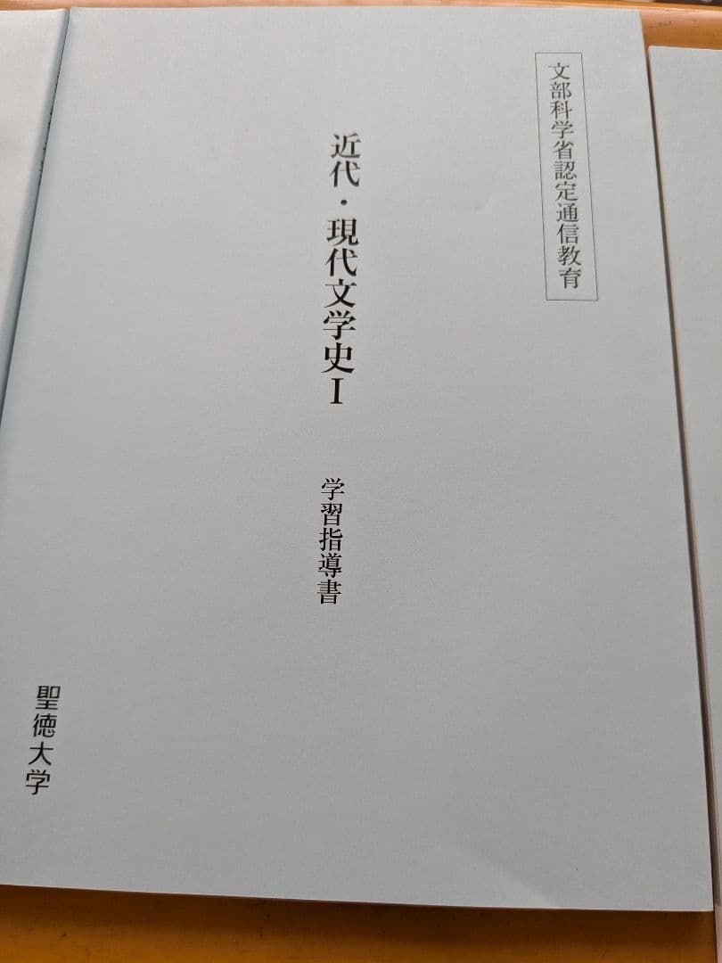 【即ご購入可能です。】聖徳大学 文学・小説 学習資料 2025年度