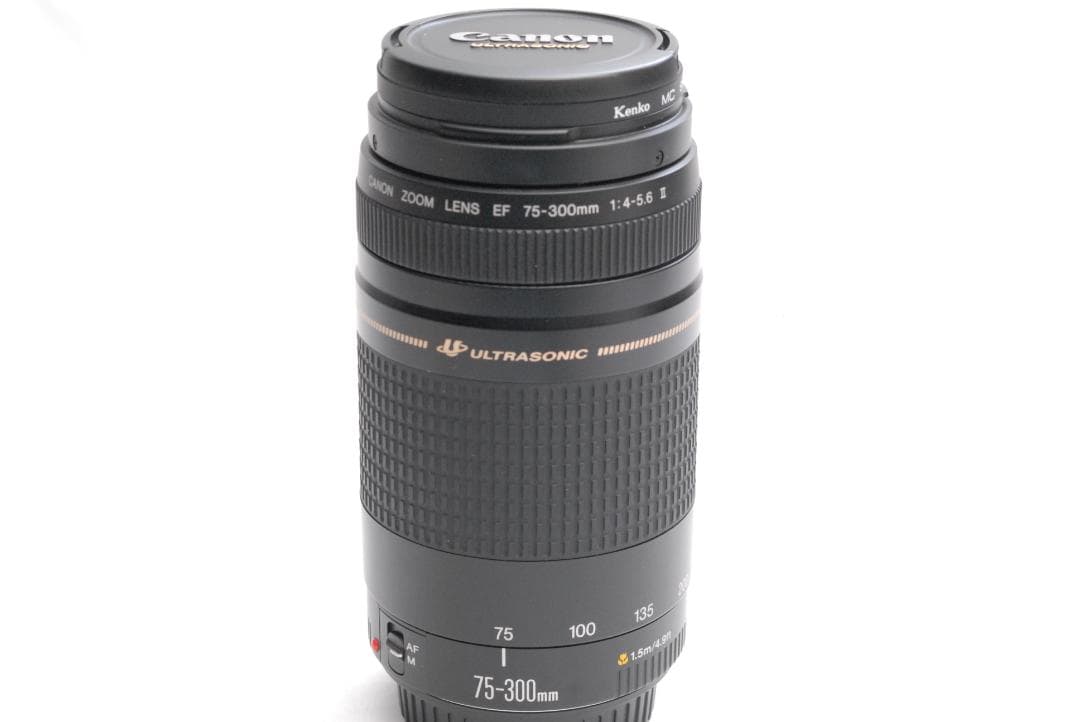 CANON ZOOM LENS EF 75-300mm 1:4-5.6 ⅡUSM