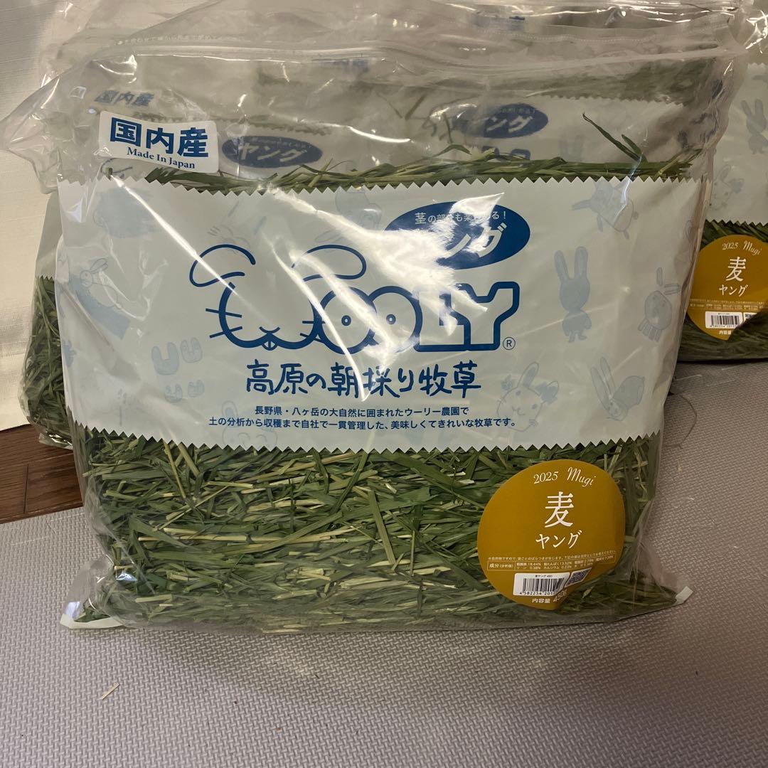 ウーリー高原の朝採り牧草 麦ヤング2025 4袋