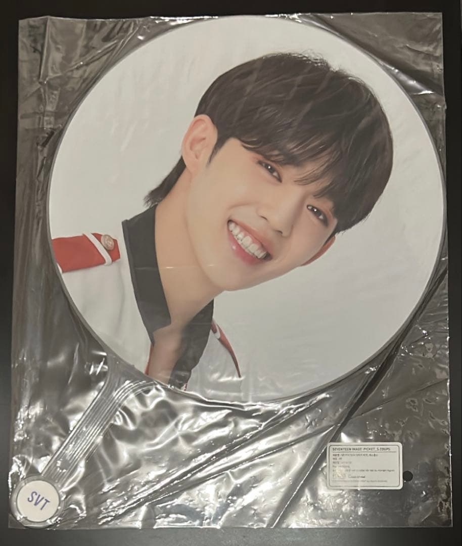 エスクプス うちわ まとめ売り ソウルコン ケレン ペンミ SEVENTEEN