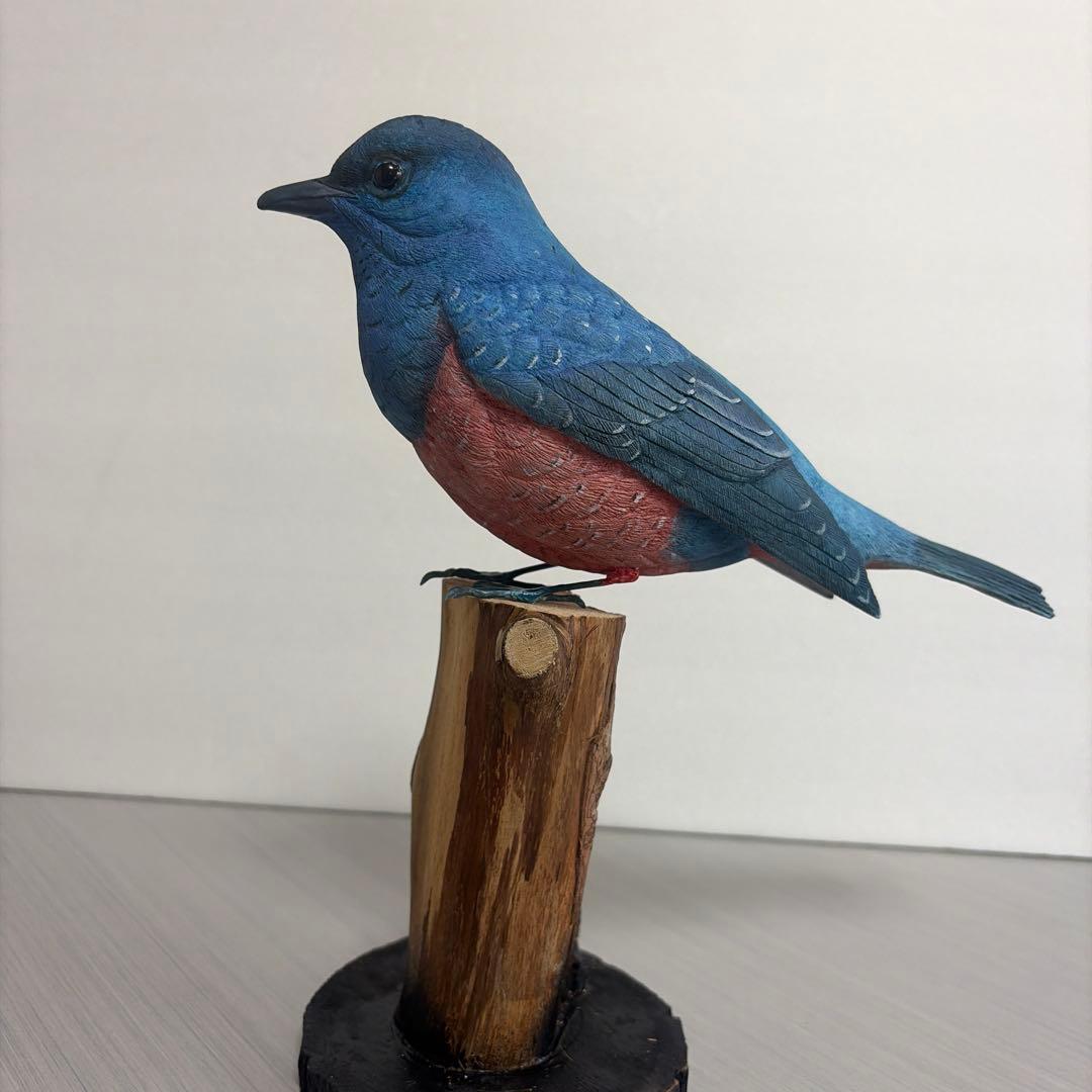 イソヒヨドリ　木彫りの野鳥　野鳥彫刻 　　　　　　リアルバードカービング