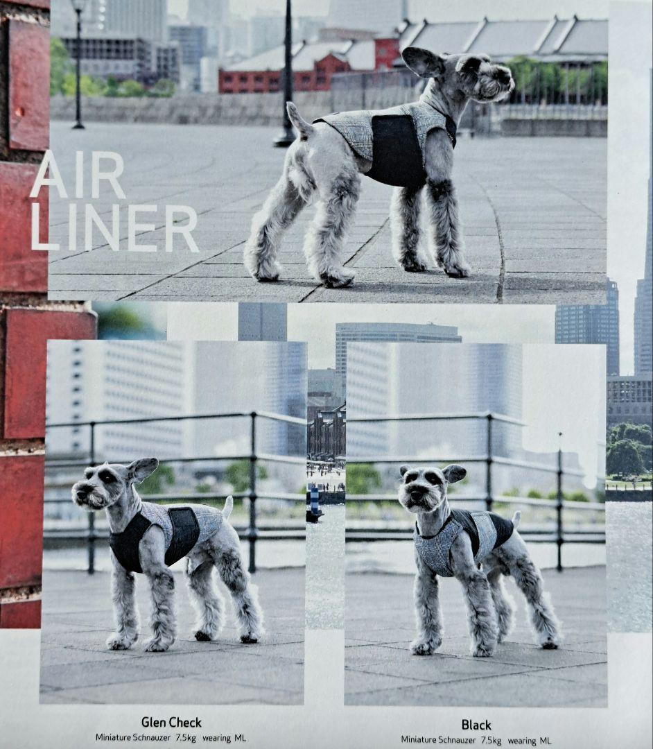 アルファアイコン　エアライナー　LL