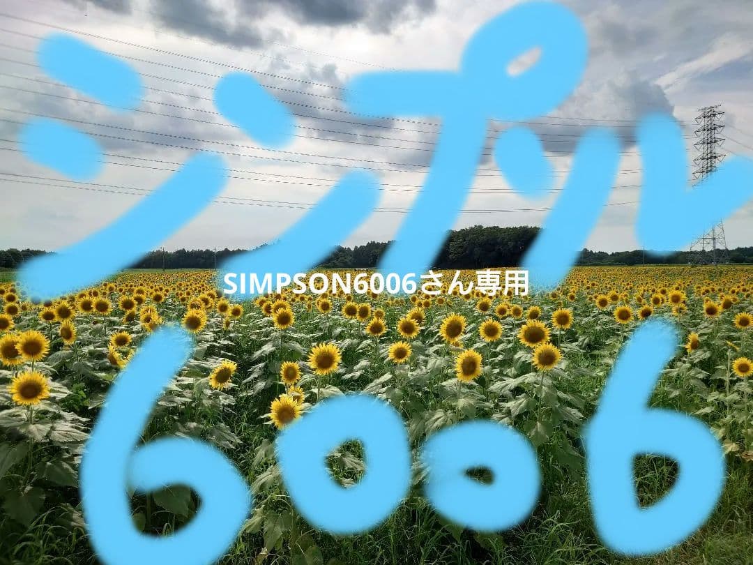 B+COM 6X Bluetooth ヘッドセット