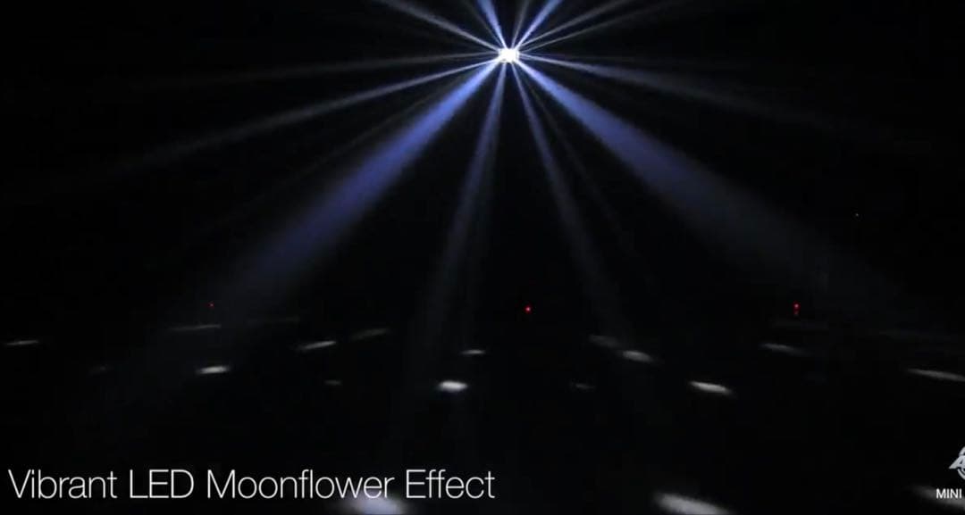 AMERICAN DJ MINI DEKKER LZR LEDレーザー