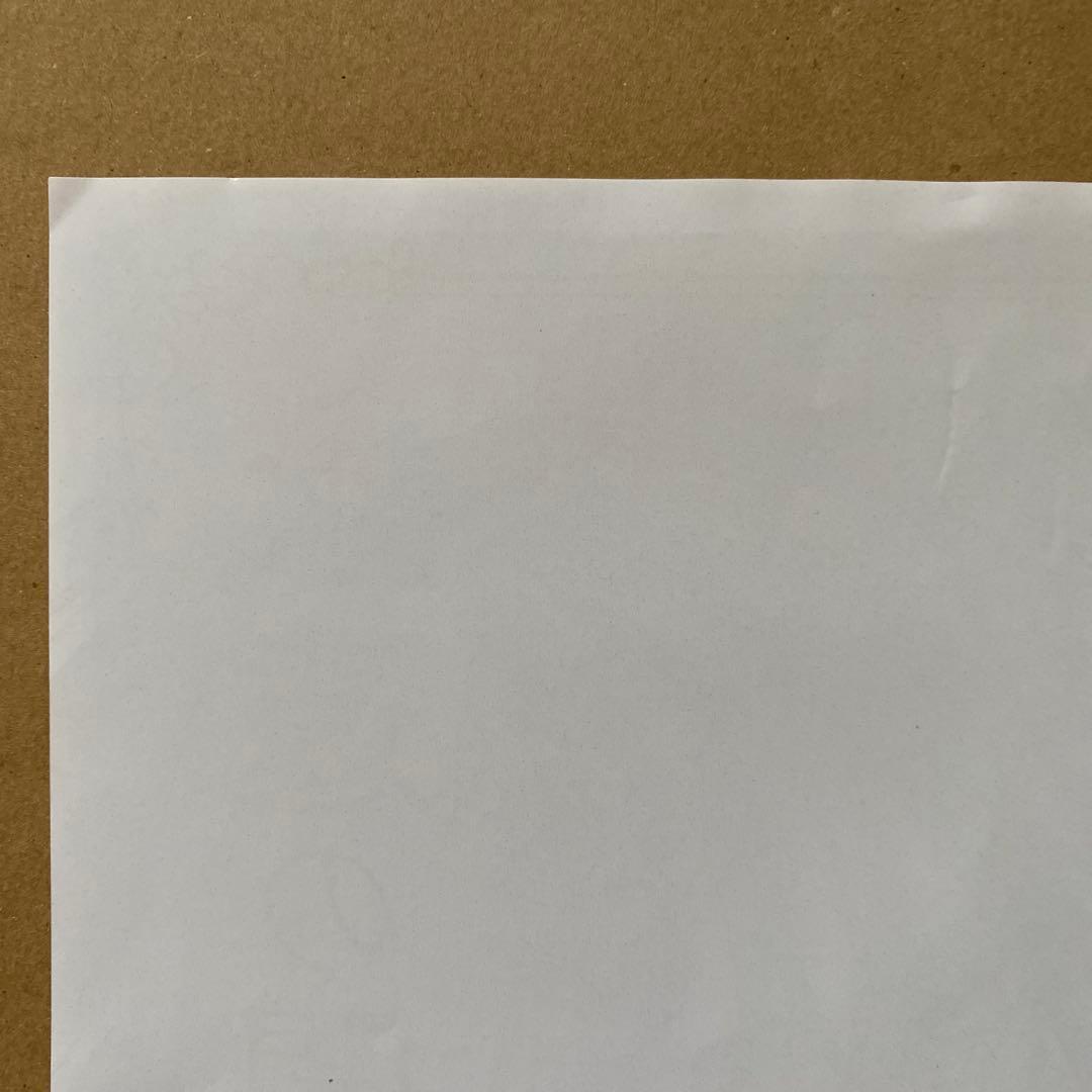 ヴァンパイア騎士memories 10巻 A4ポスター ミニPOP [非売品]