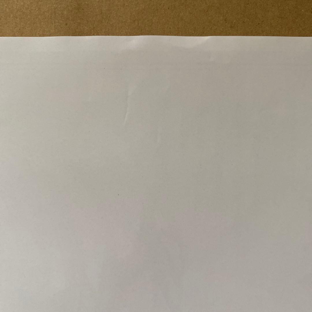 ヴァンパイア騎士memories 10巻 A4ポスター ミニPOP [非売品]