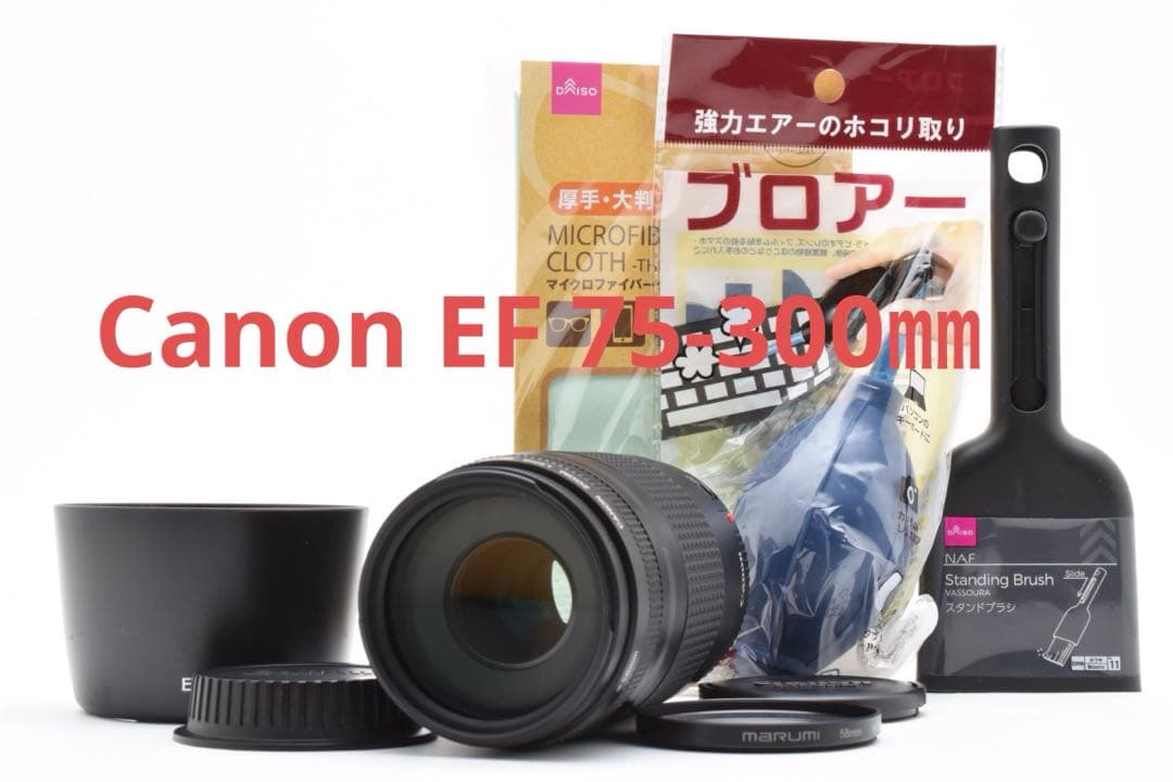 レンズ(ズーム) CANON ZOOM LENS EF 75-300mm F4-5.6 II