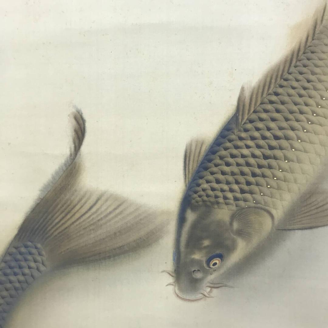 真作/吉田鯉城/游鯉図/遊鯉図/双鯉/花鳥図/掛軸☆宝船☆AH-662