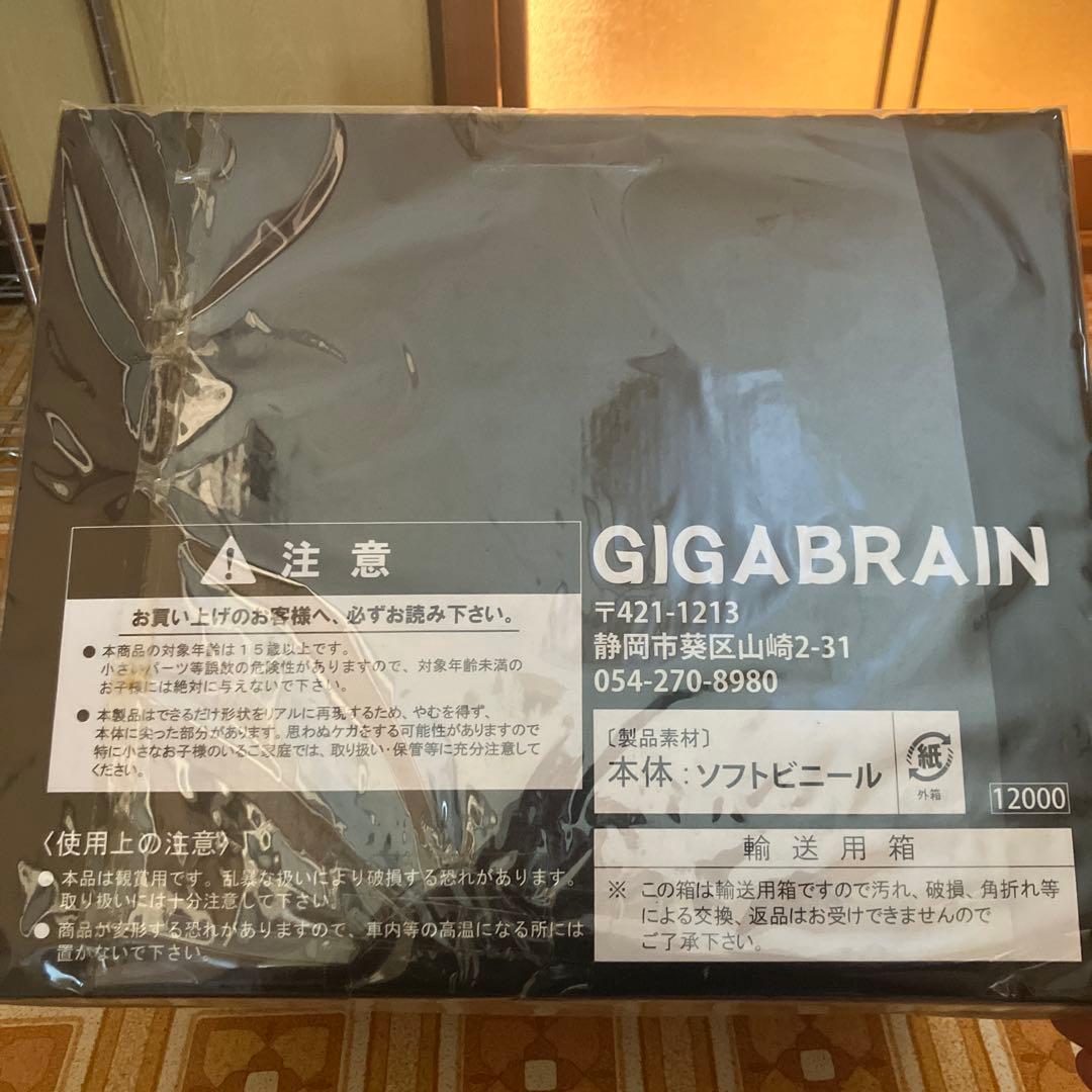 ヘドラ　巌流島シリーズ