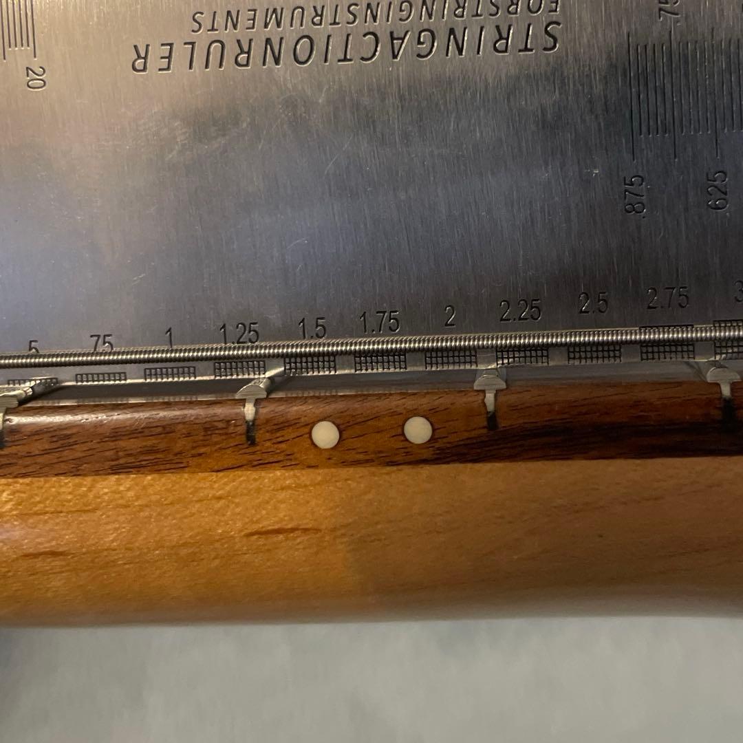 DIGI-ZO Fernandes コンデンサ交換済み