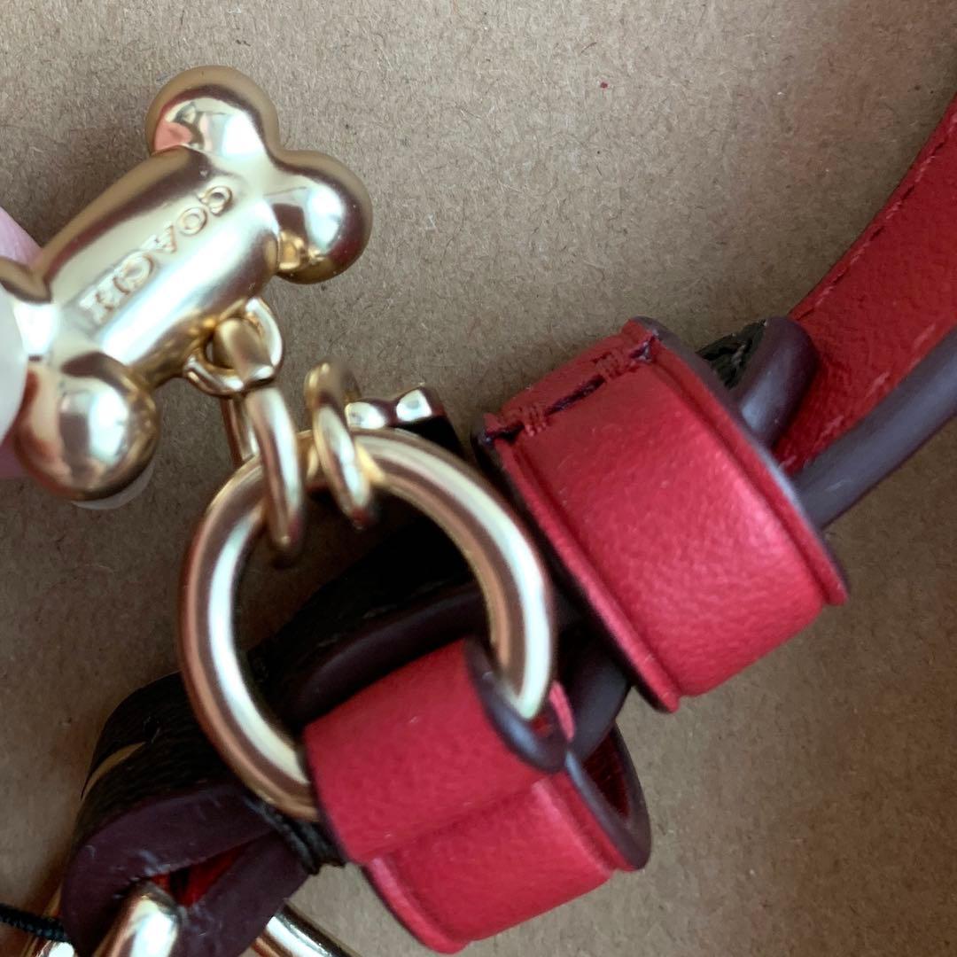 COACH コーチ　シグネチャー　赤　首輪　ドッグ　リード 小型犬　犬　ペット
