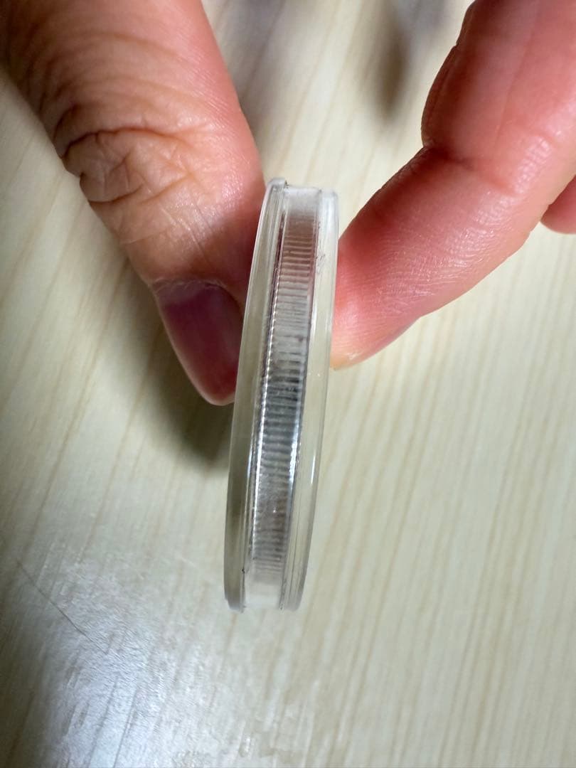 プラハ 記念硬貨 ライオンの紋章