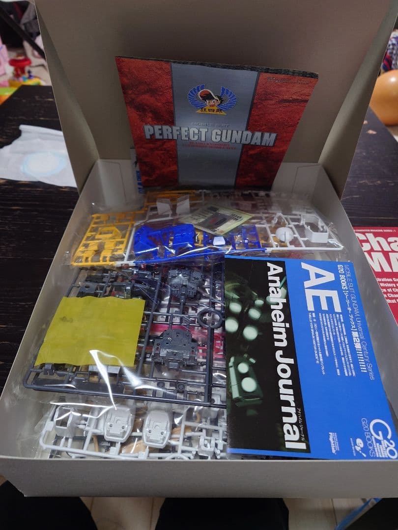 【未組立】機動戦士ガンダム MG パーフェクトガンダム