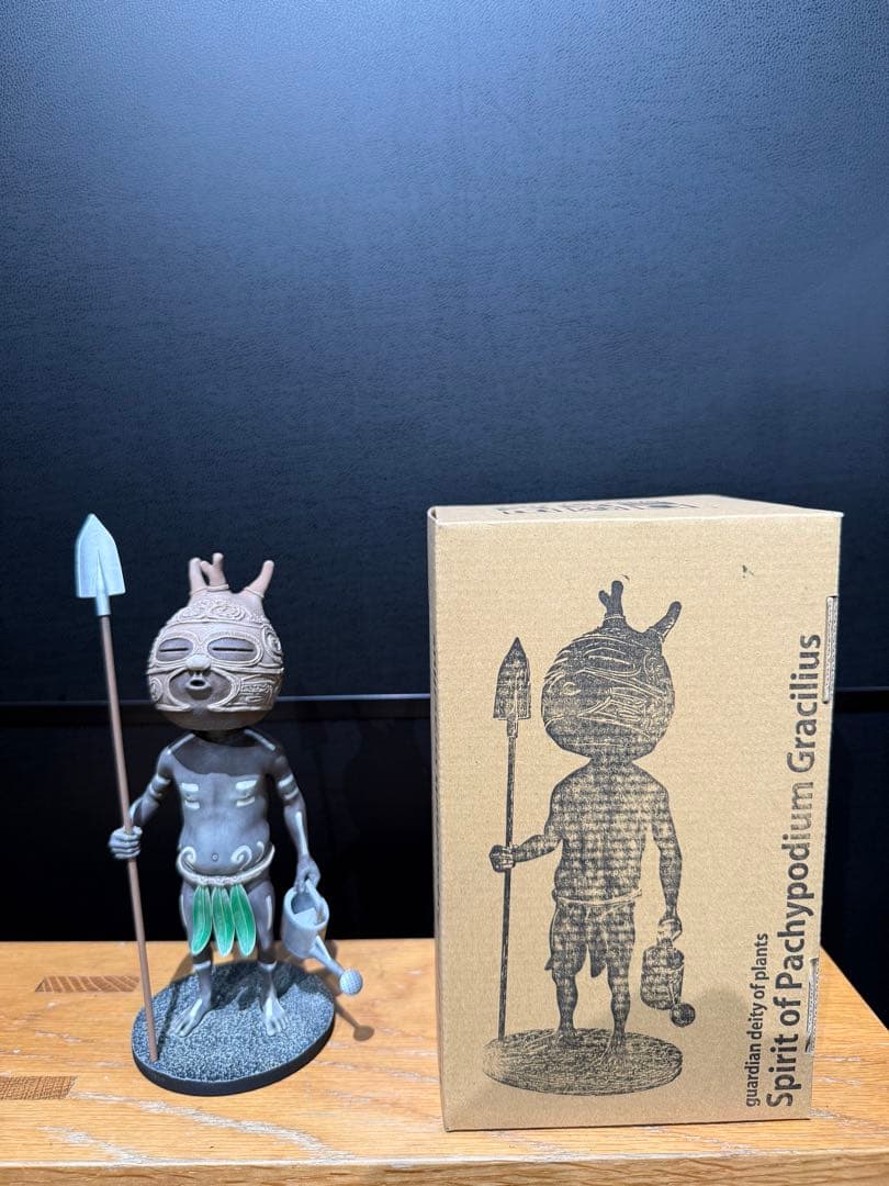 その他 Ozwrt Spirit of Pachypodium Gracilius