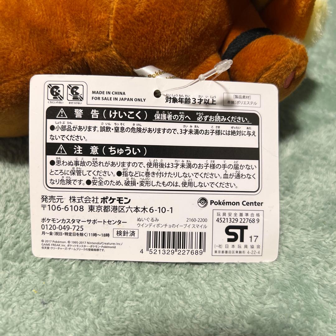 ウィンディポンチョのイーブイ（スマイル）