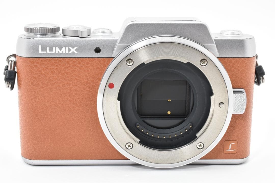 Panasonic LUMIX DMC-GF7 ミラーレス一眼カメラ ボディ