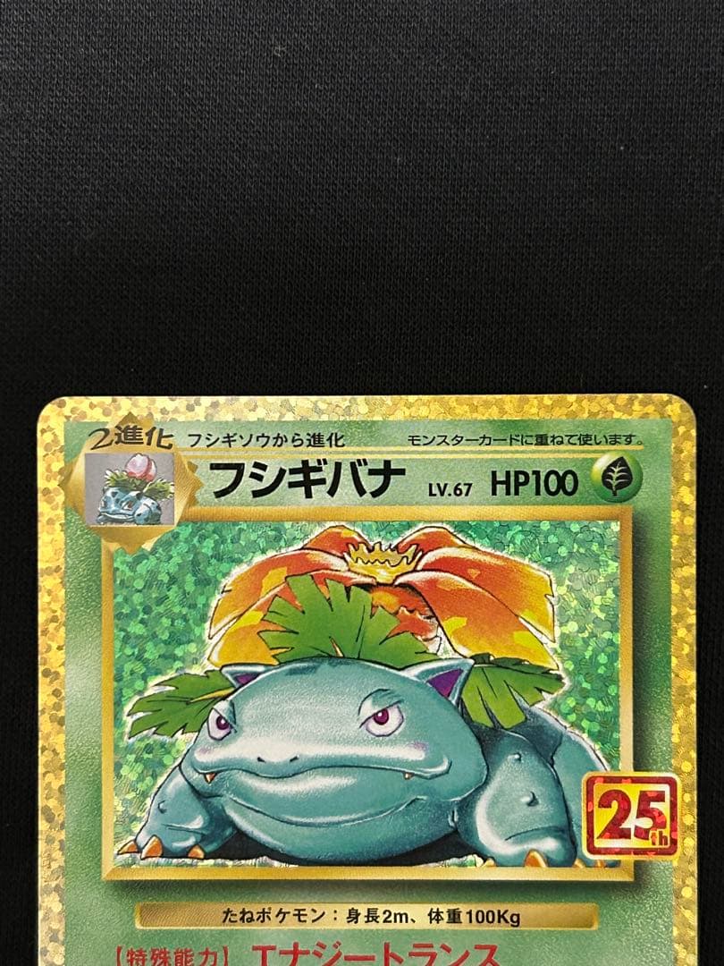 【極美品】カメックス プロモカードパック 25th ANNIVERSARY