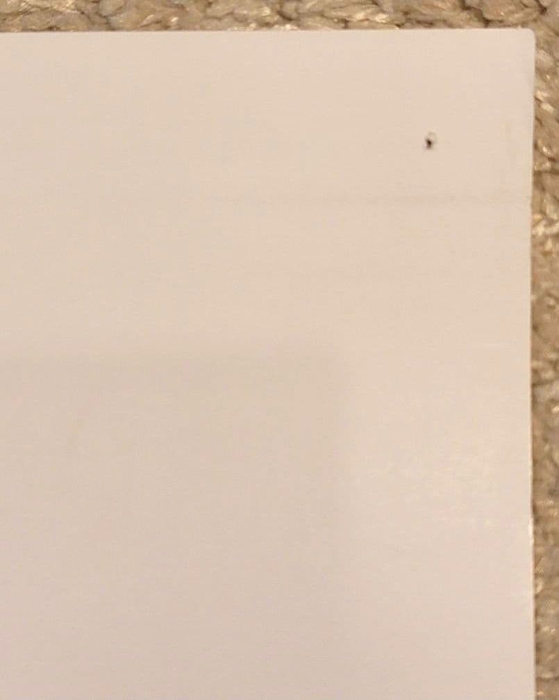 天空の城ラピュタ　ポスター［D］