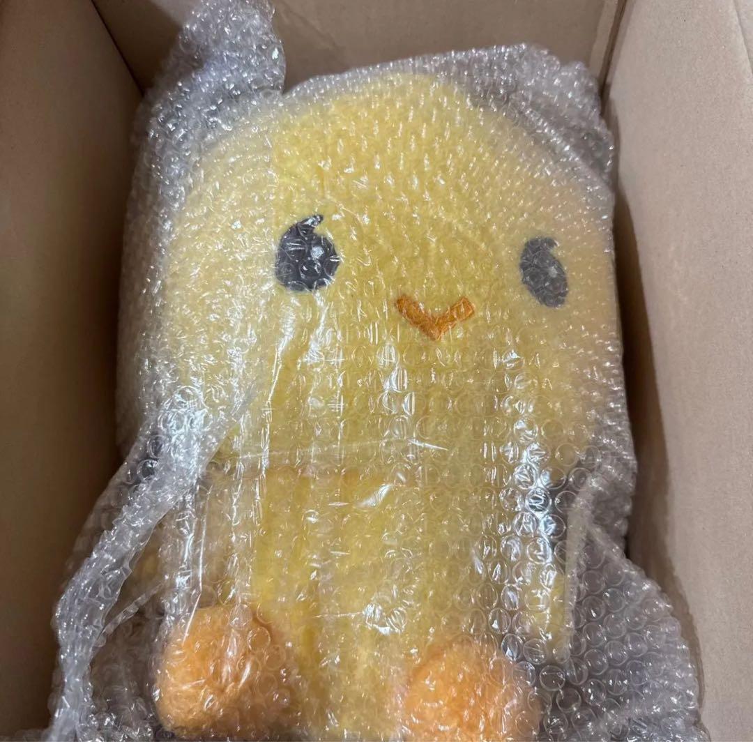 SHINee テミン 40cmドール テマリ 新品未開封